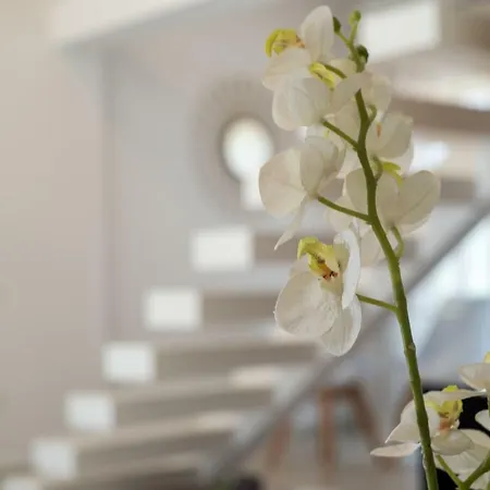 Alba Al Mare Vilă *