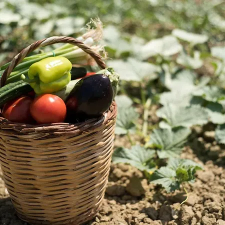 Alba Al Mare Вилла Agios Sostis (Zakynthos)